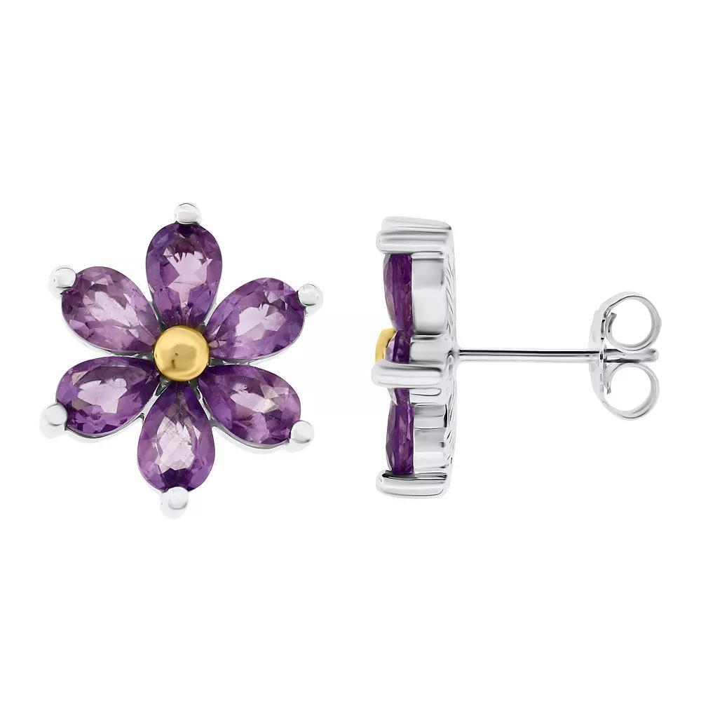 Two Tone Sterling Silver Amethyst Earrings, Women's Product Image