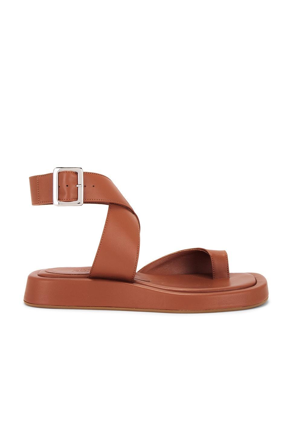 x REVOLVE Roxanne Sandal GIA BORGHINI Product Image