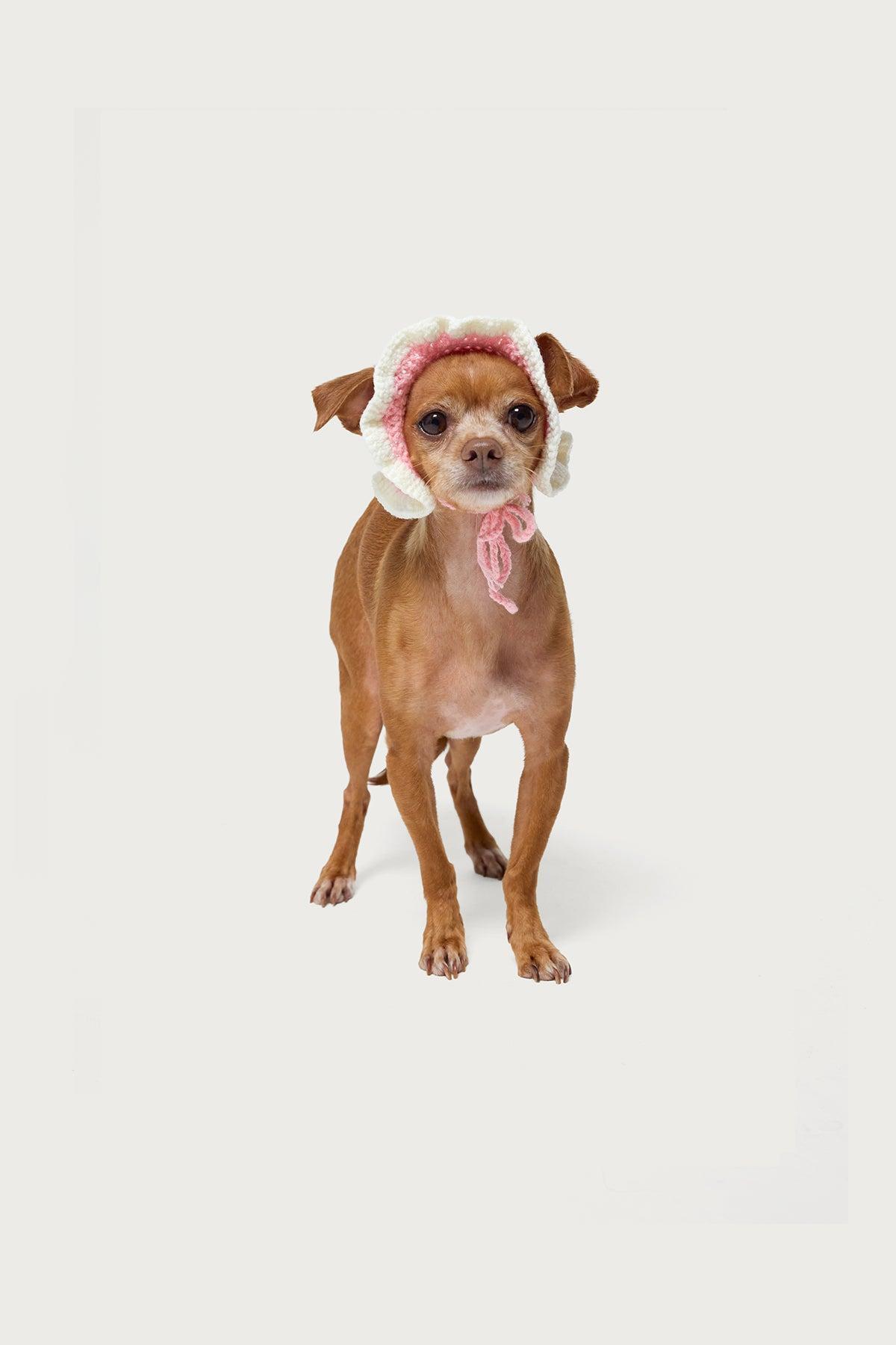 Petal Pet Crochet Hat Product Image