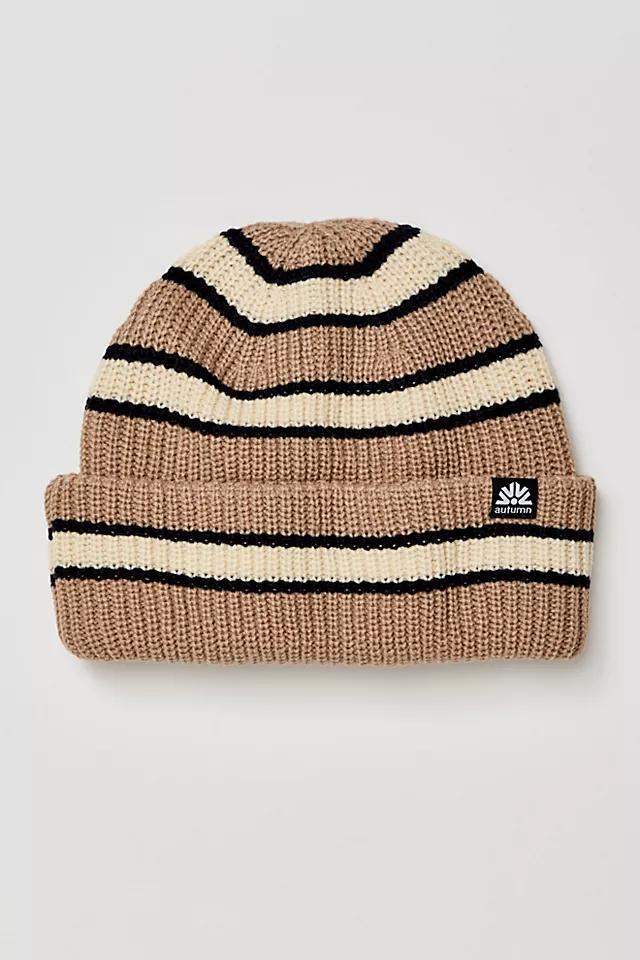 Slacker Striped Beanie Product Image