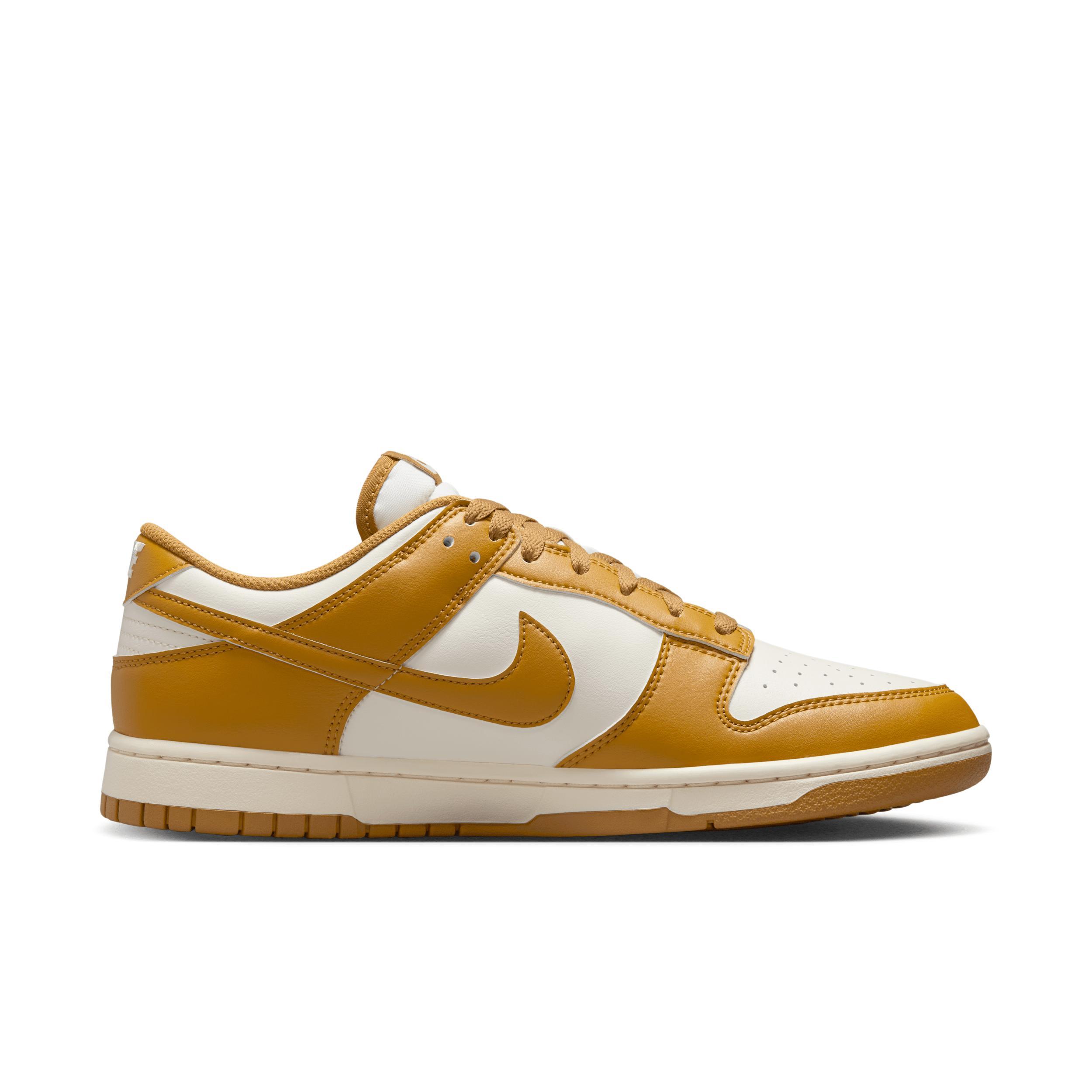Nike Men's Dunk Low Retro Shoes Product Image