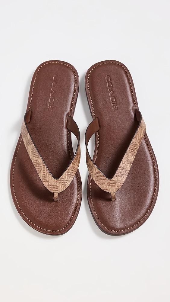 Coach Brianna Flip Flops | Shopbop Product Image