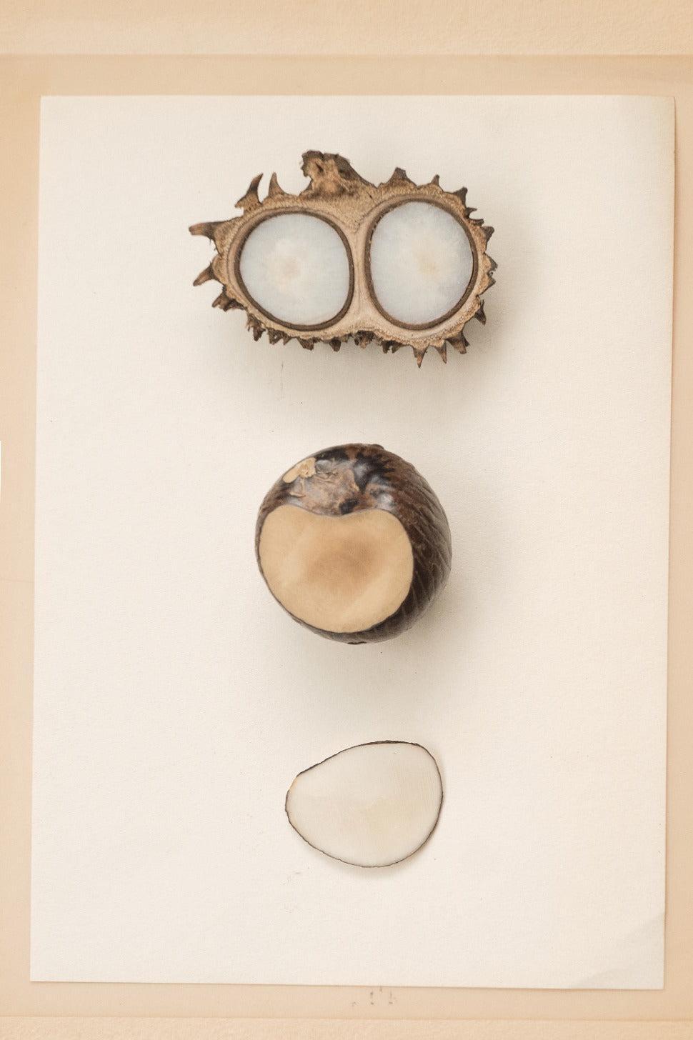 Product Card