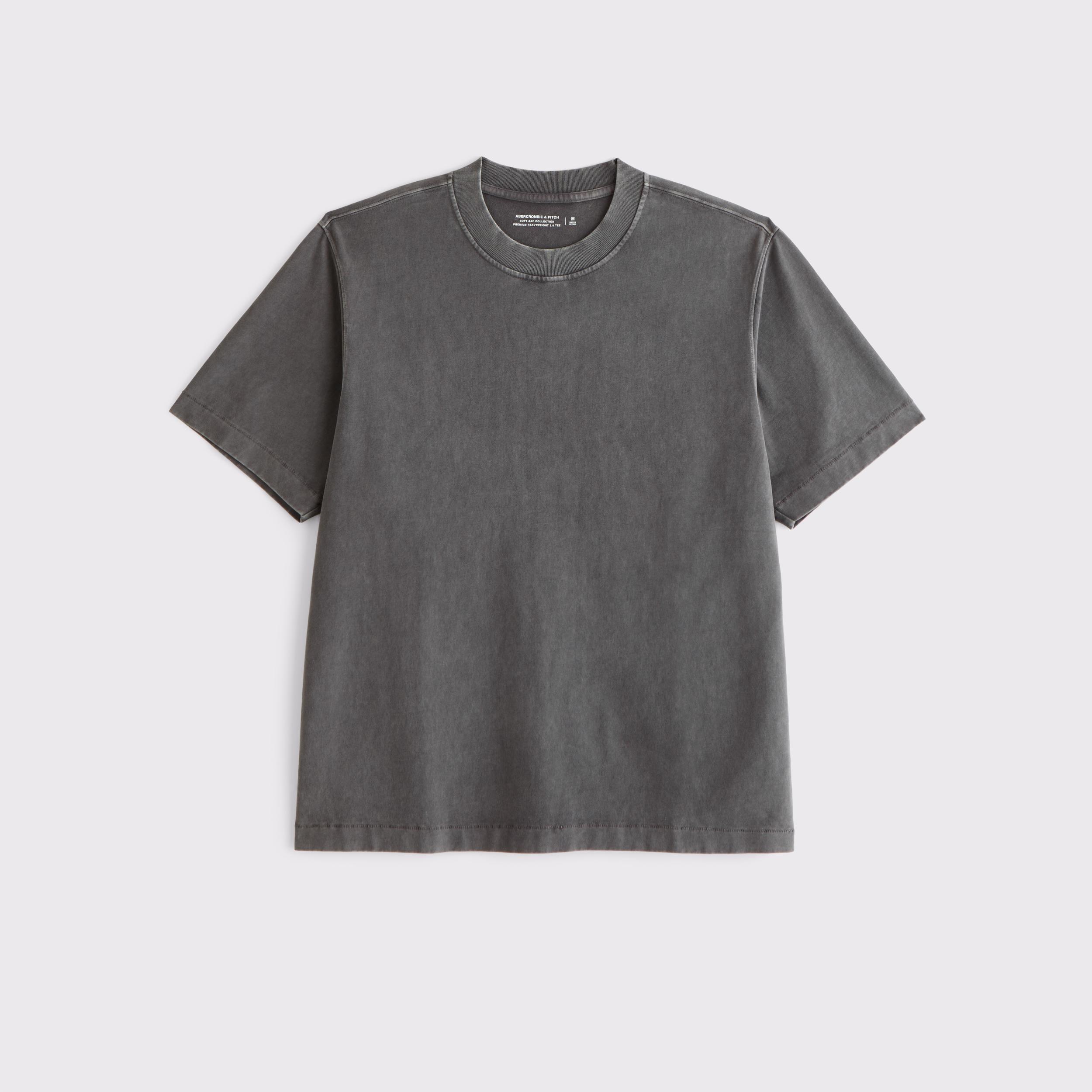Premium Heavyweight 2.0 Tee Product Image