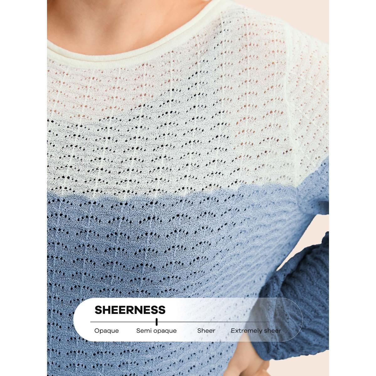 Plus Size Color Contrast Boat Neck Lightweight Pullover Skyblue Women Casual Loose Long Sleeve Boat Neck Everyday Pullovers BloomChic 22-24/3X Product Image
