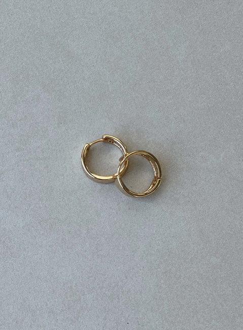 Archo Gold Plated Earrings Product Image