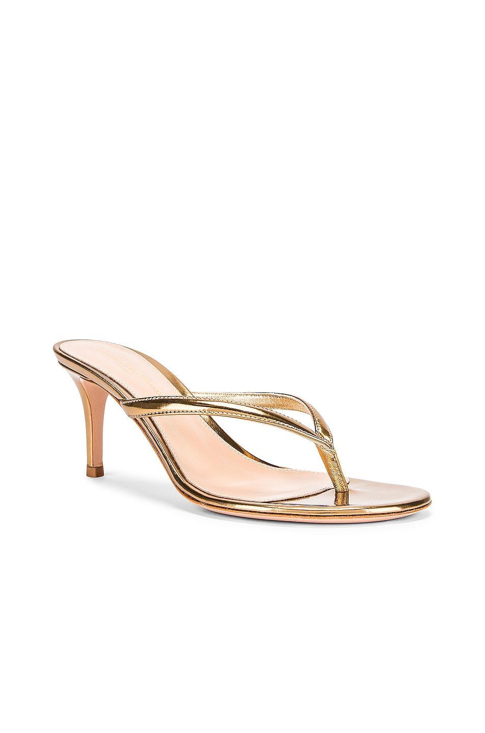 Gianvito Rossi Thong Sandals in Metallic Gold Product Image