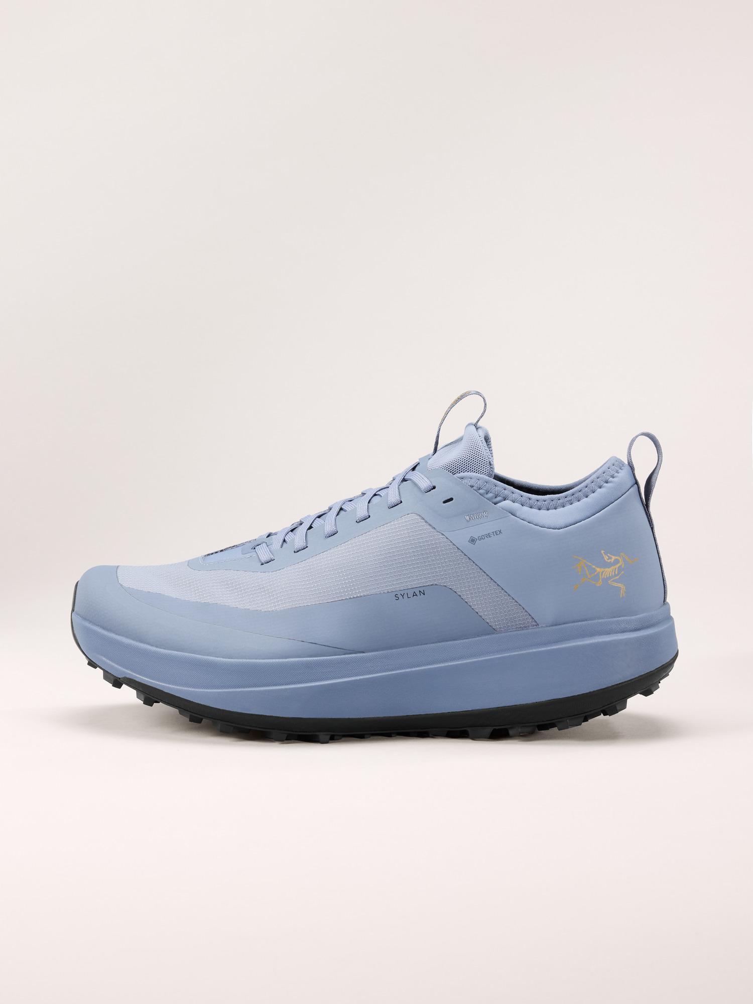Sylan GTX Shoe Men's Product Image