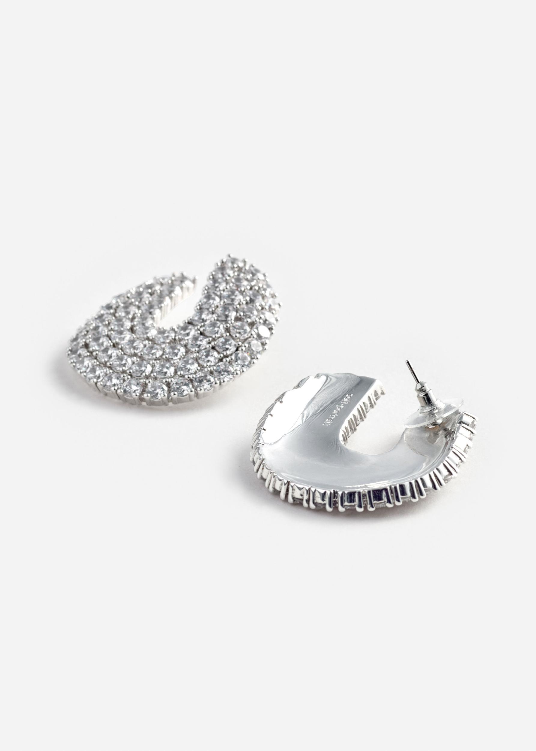 Crystal Curved Earrings Product Image