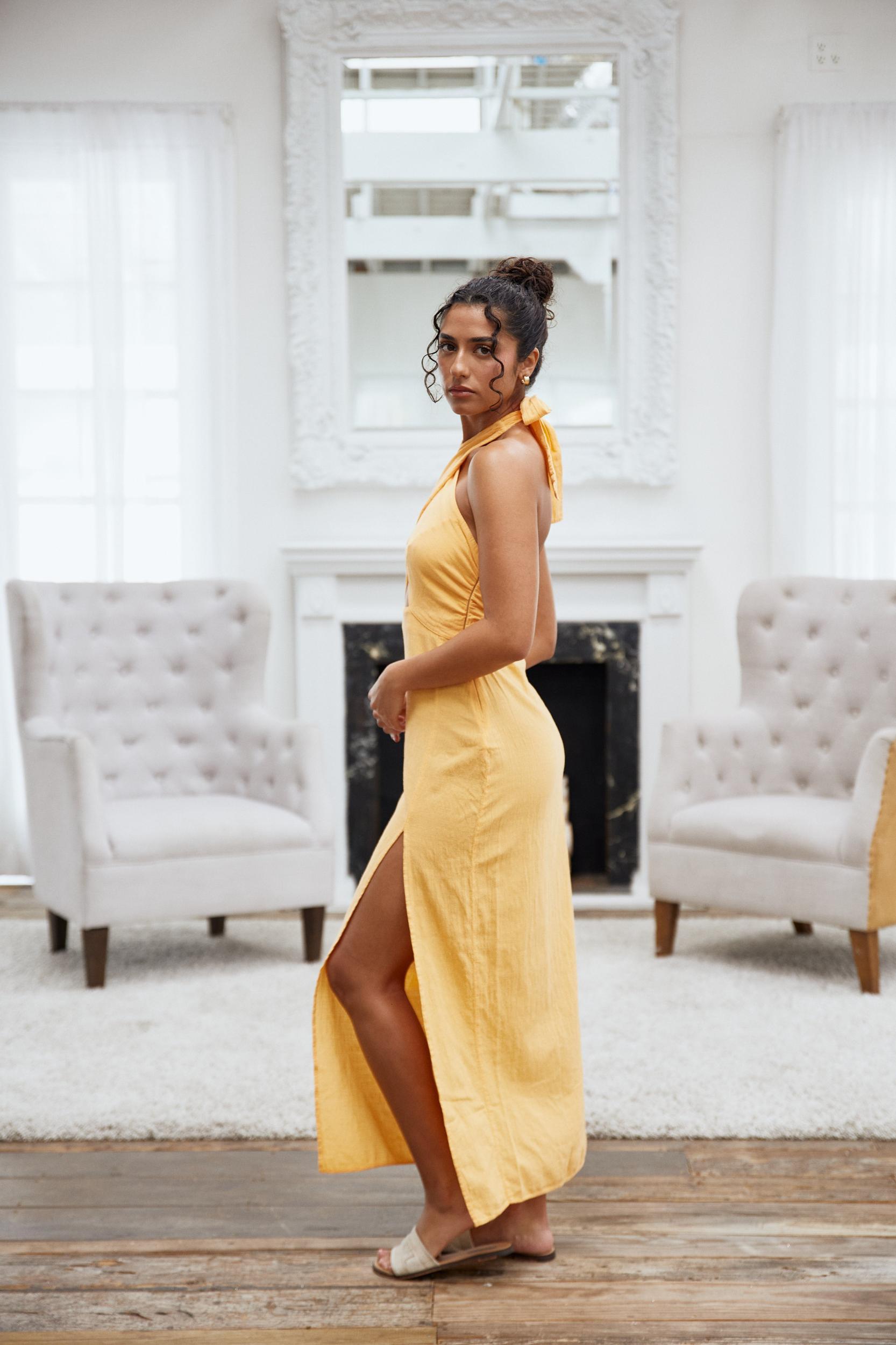 Serafina Dress Product Image