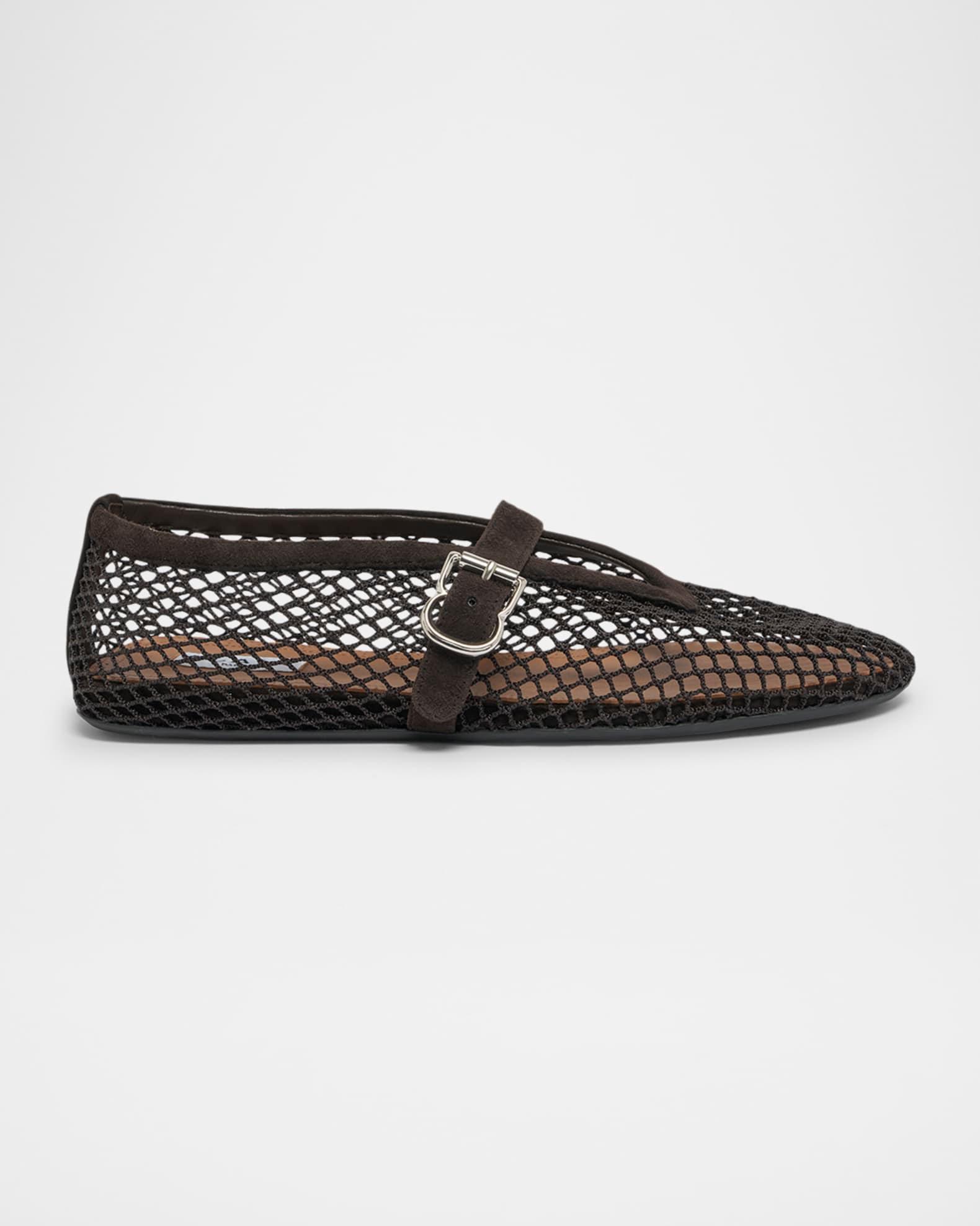 Mesh Mary Jane Suede Ballerina Flats Product Image