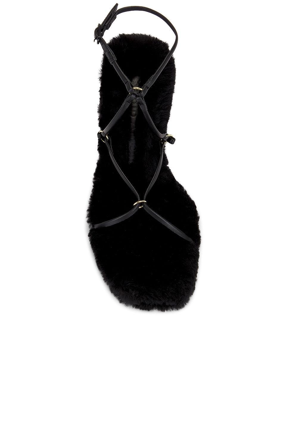 Sissonne 80 Heel Studio Amelia Product Image