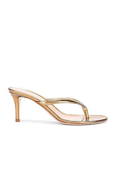 Gianvito Rossi Thong Sandals in Metallic Gold Product Image