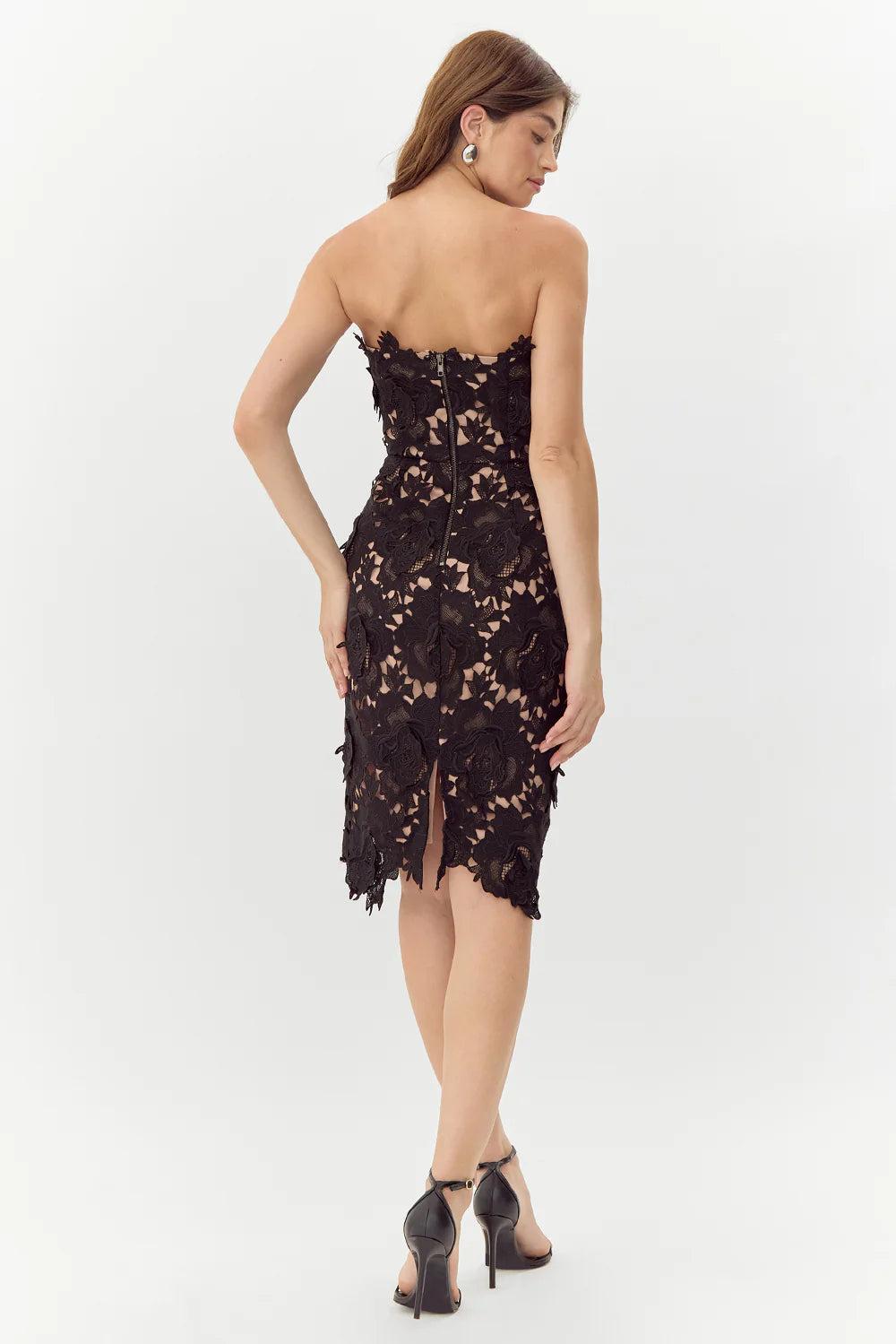 Jade Woven Lace Tube Dress- Black/Nude Product Image