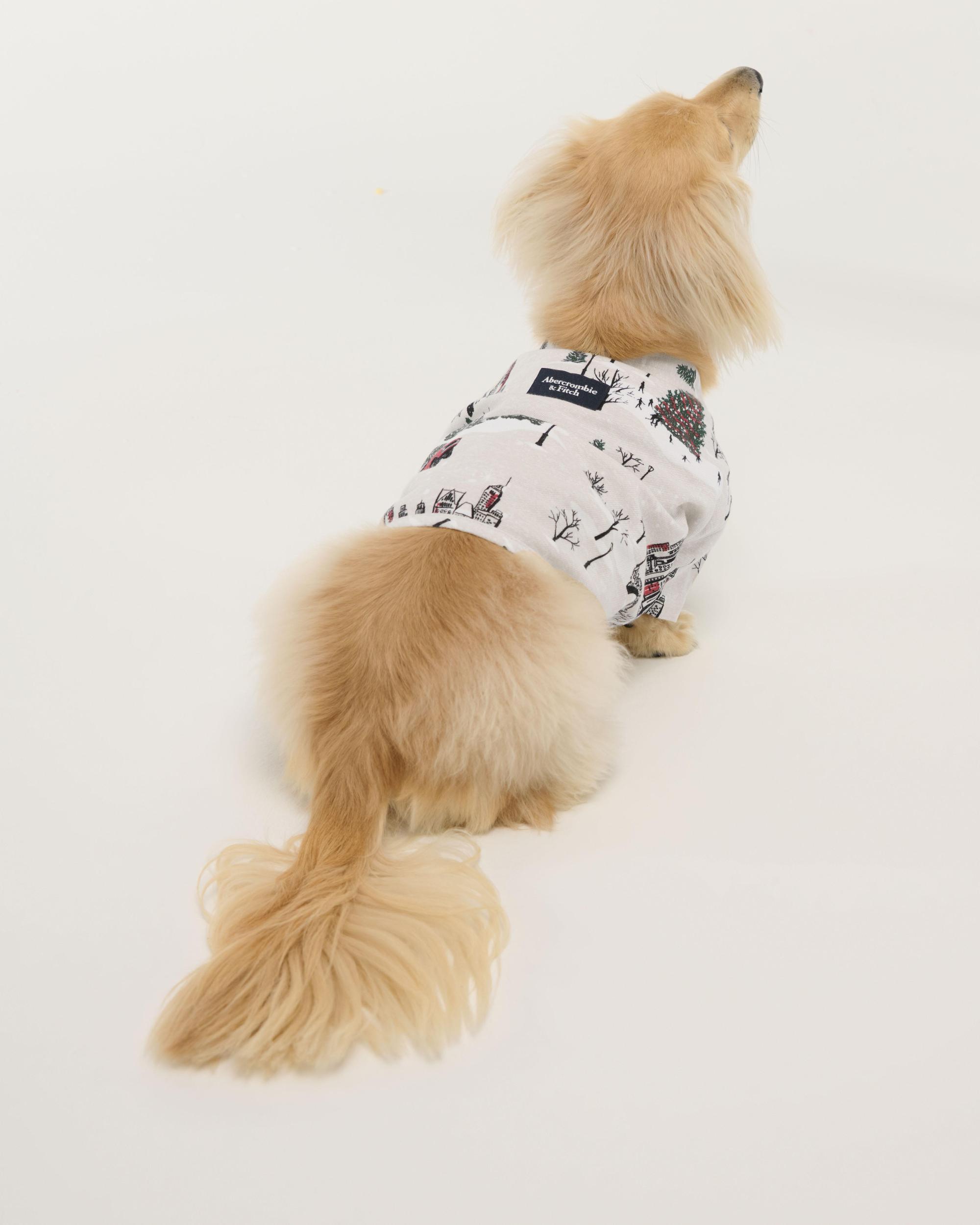 A&F Pet Sweater Product Image