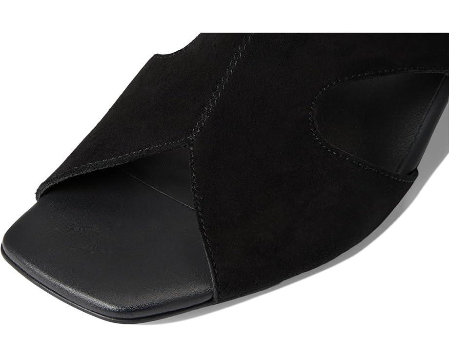 Paul Green Product Image