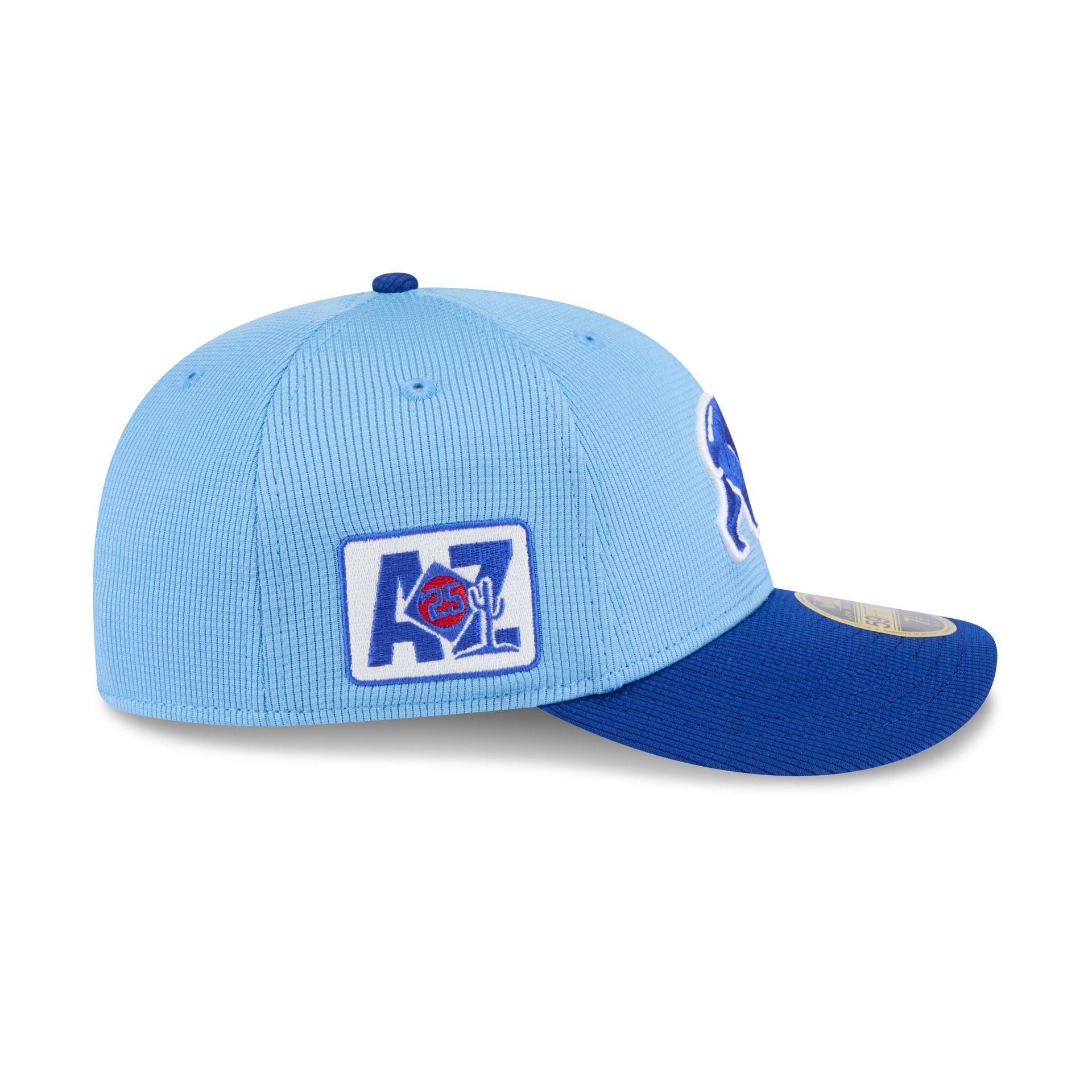 Chicago Cubs 2025 Spring Training Low Profile 59FIFTY Fitted Hat Male Product Image