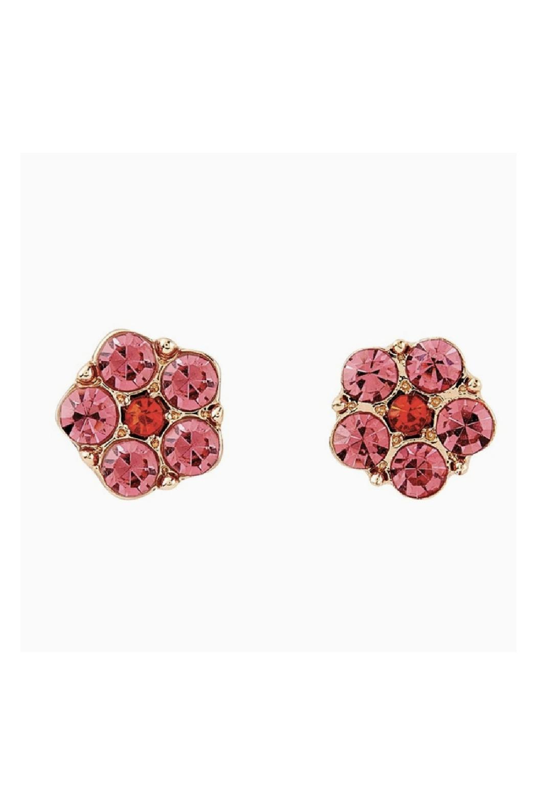 Treasure Box Earrings Product Image