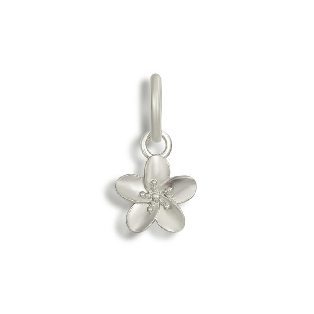 Meribella Bikini Charm Product Image
