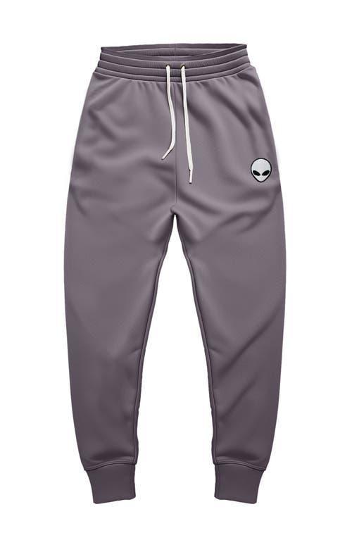 Dalix Mens Alien Midweight Fleece Jogger Pant in Mauve at Nordstrom, Size X-Large Product Image