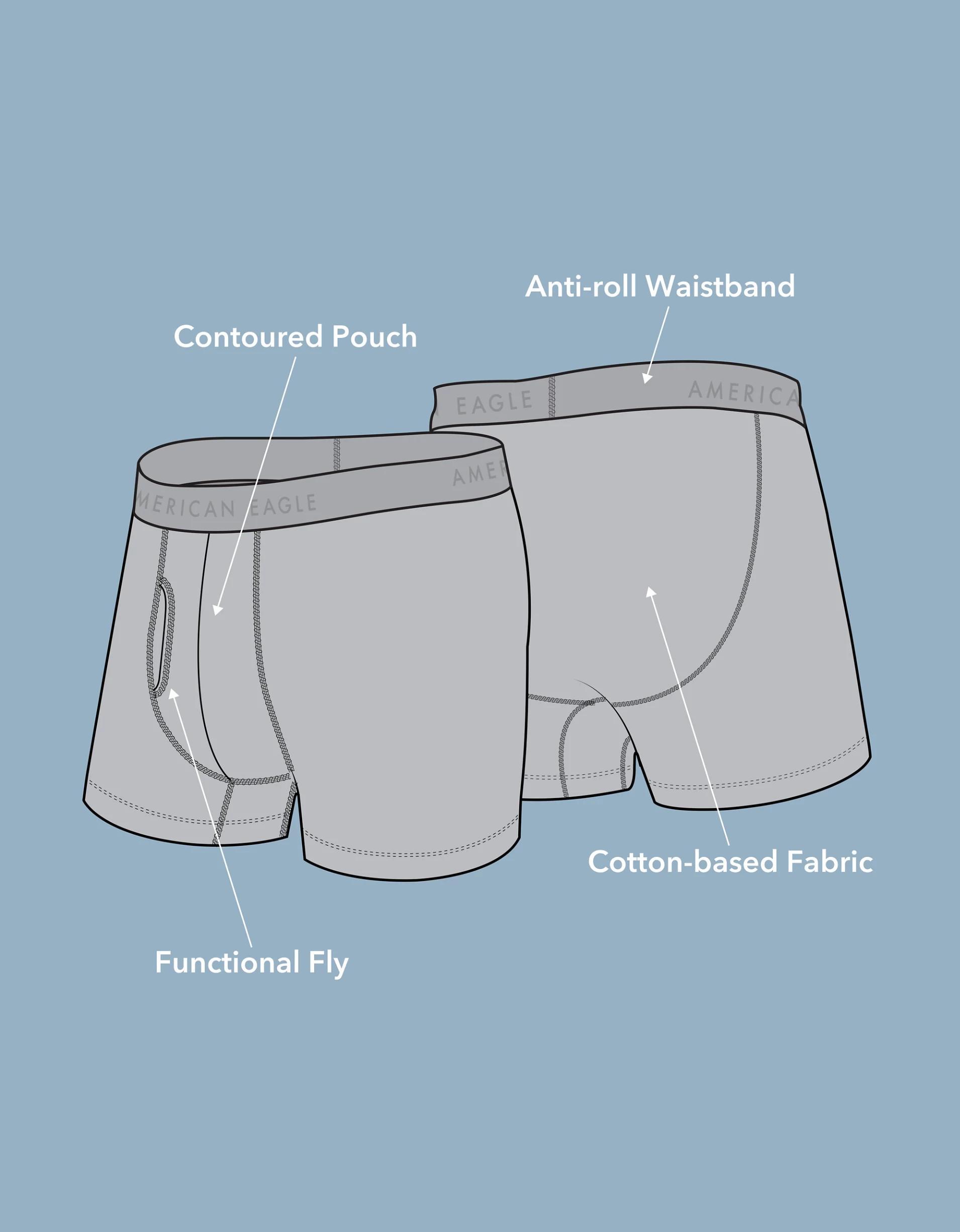 AEO Eagles 4.5" Classic Boxer Brief Product Image