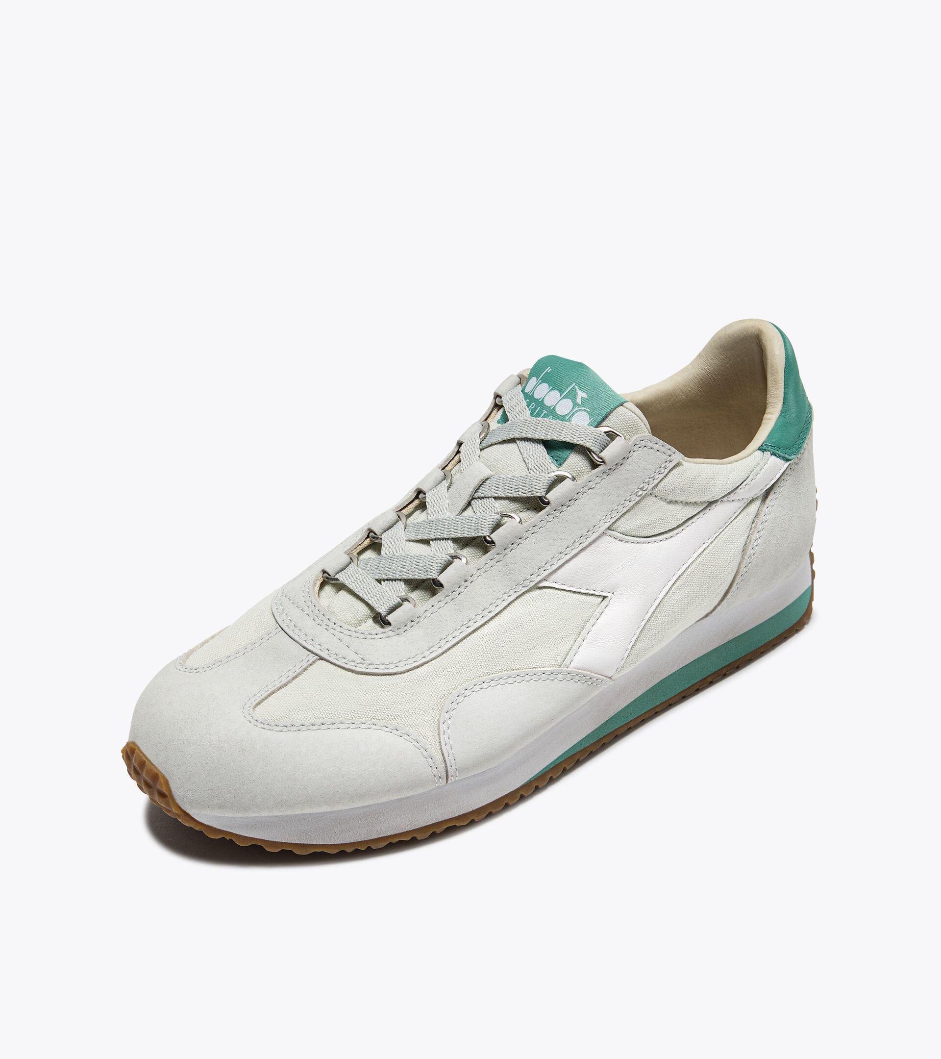 EQUIPE CANVAS SW EVO Product Image