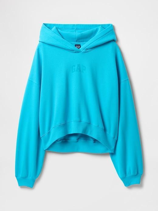 VintageSoft Arch Logo Cropped Hoodie Product Image