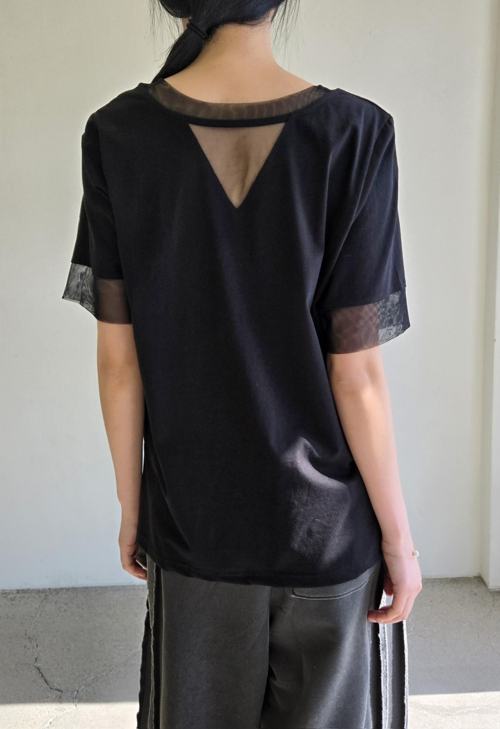 Desi Top Product Image