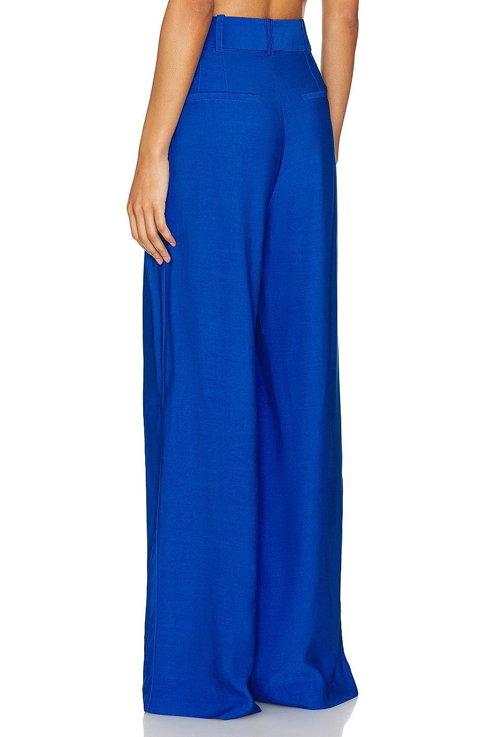 Pleated Trouser Product Image