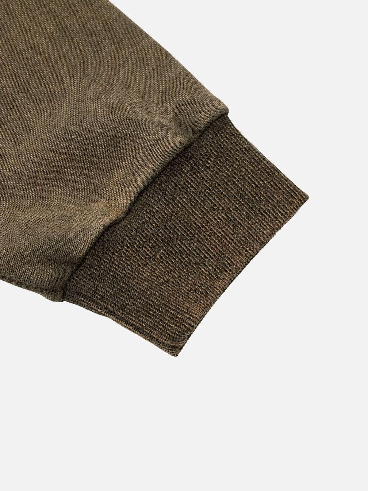 Aelfric Eden Embroidery Washed Hoodie Product Image
