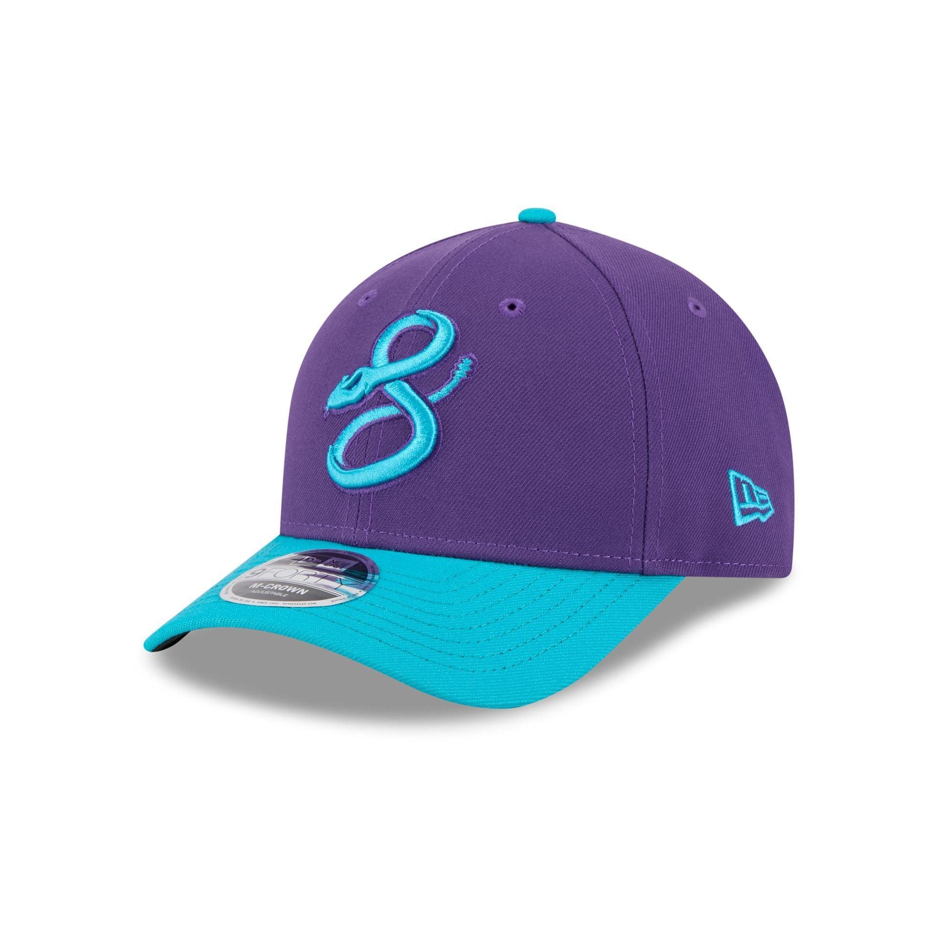 Tampa Bay Rays Hall of Fame 2025 Retro Crown 9FIFTY Snapback Hat Male Product Image