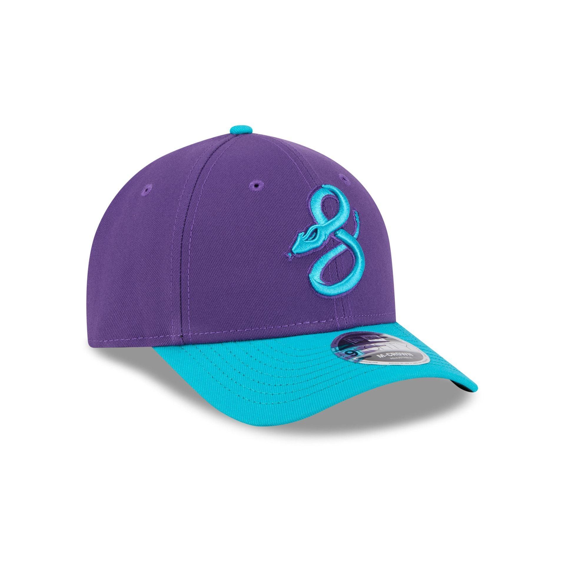 Tampa Bay Rays Hall of Fame 2025 Retro Crown 9FIFTY Snapback Hat Male Product Image