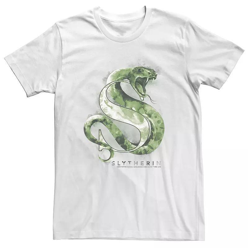 Big & Tall Harry Potter Slytherin House Watercolor Tee, Men's, Size: 4XLT, White Product Image