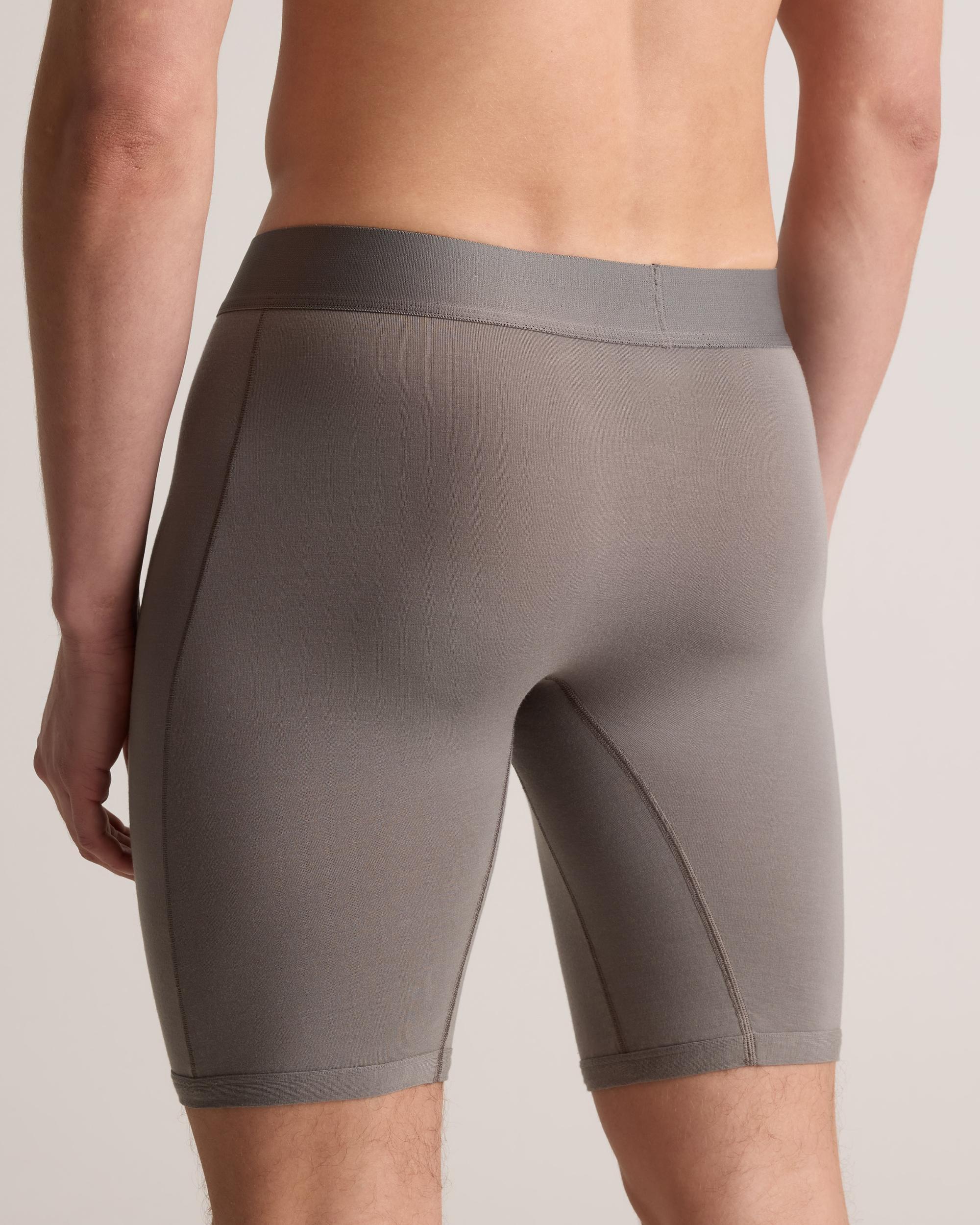 Quince | Men's Micromodal 8" Boxer Brief Size XL Product Image