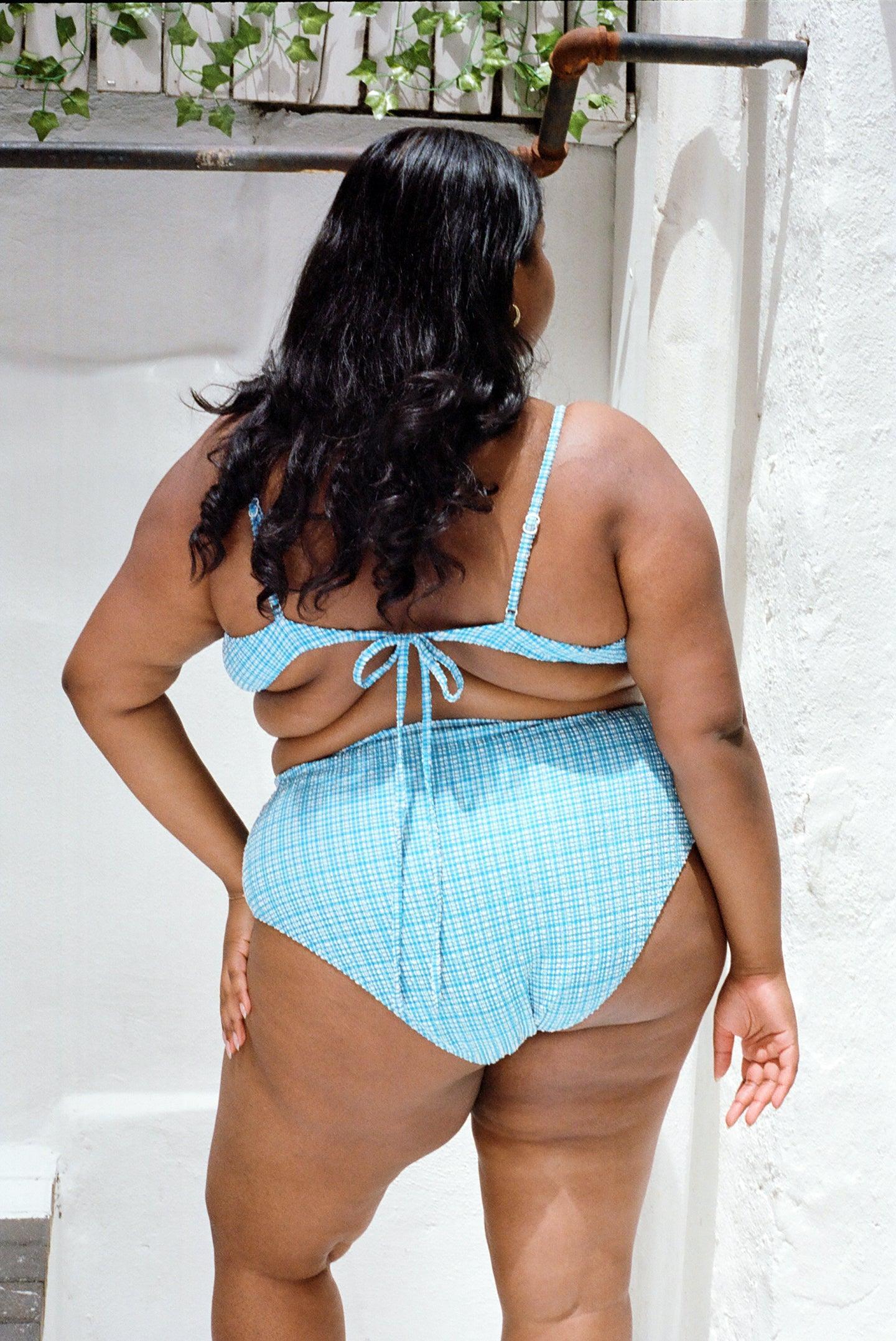Neve Bikini Bottom - Ocean Micro Gingham Product Image