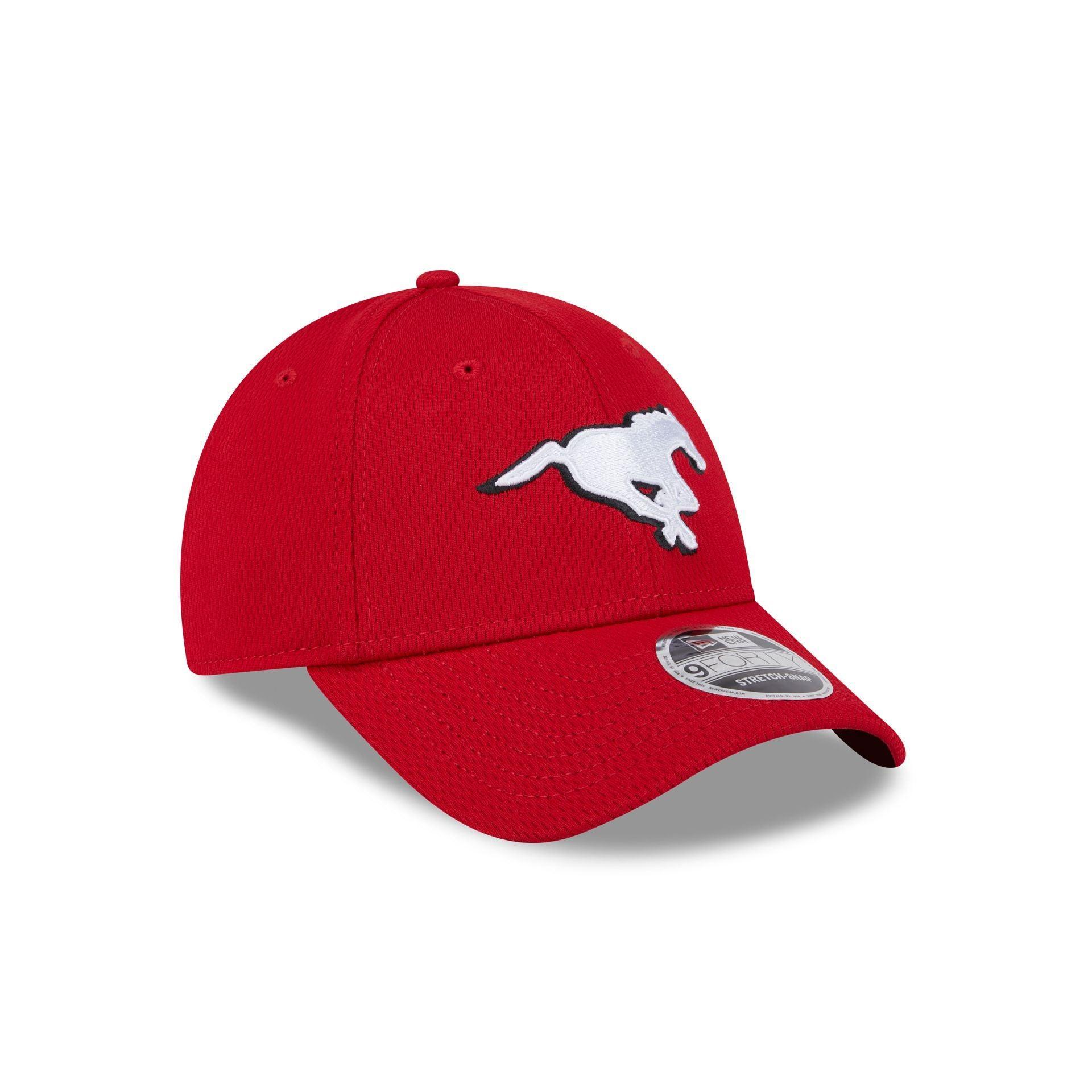 Angry Beavers 39THIRTY Stretch Fit Hat Male Product Image