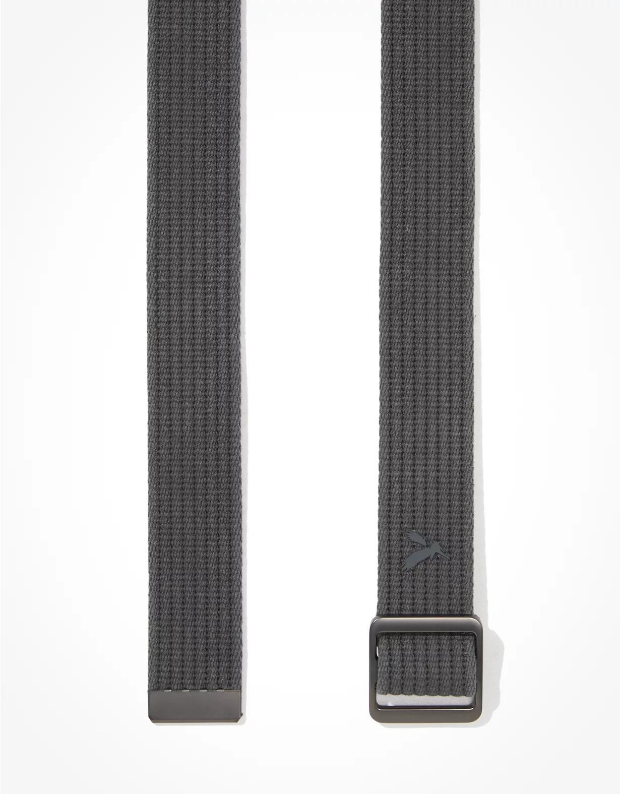 AE Ribbed Web Belt Product Image
