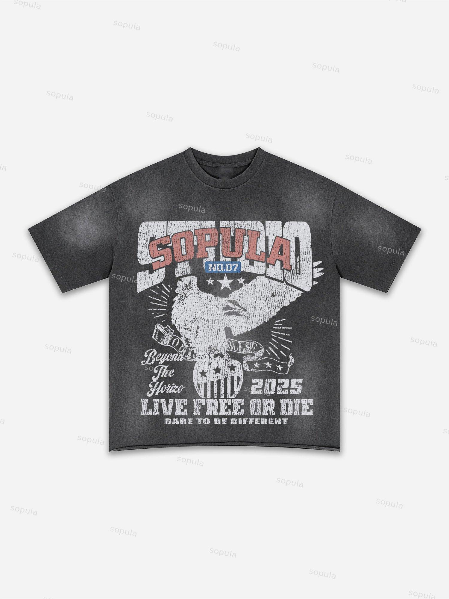 Lips Graphic Print Washed T-shirt Product Image