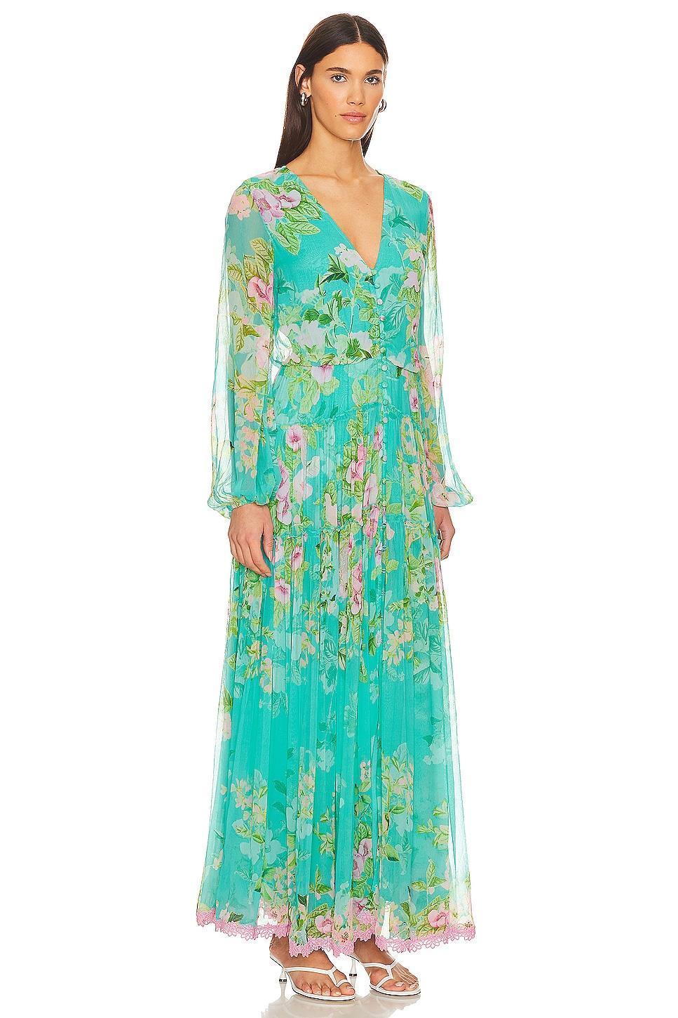 Azra Maxi Dress HEMANT AND NANDITA Product Image