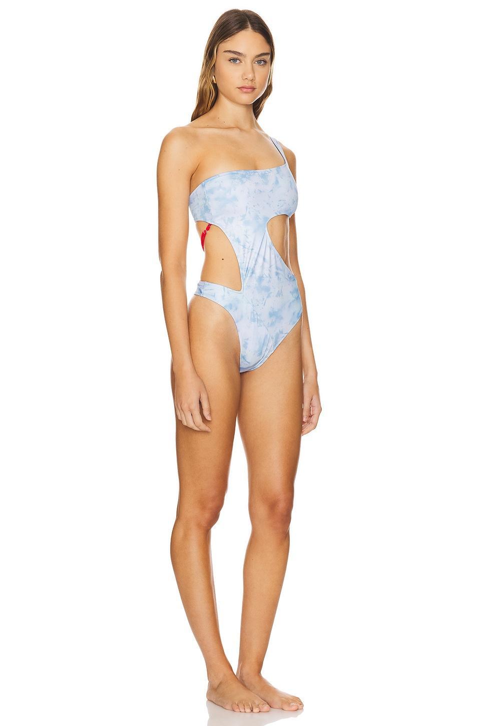 One Piece Swimsuit Roberta Einer Product Image
