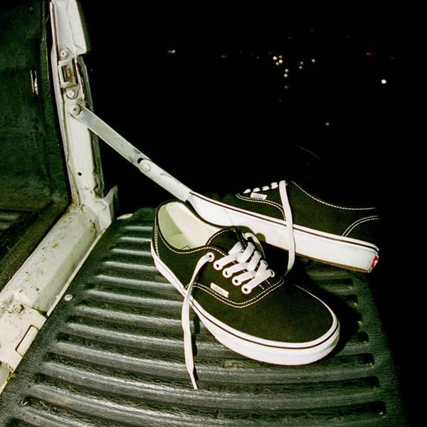 Vans Authentic Skate Shoe Product Image