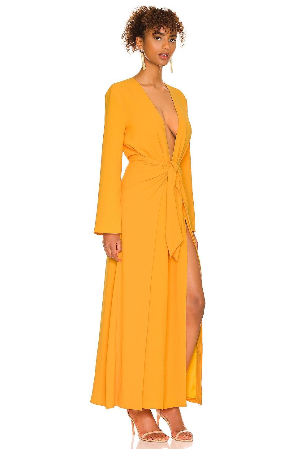 Millie Maxi Dress Camila Coelho Product Image