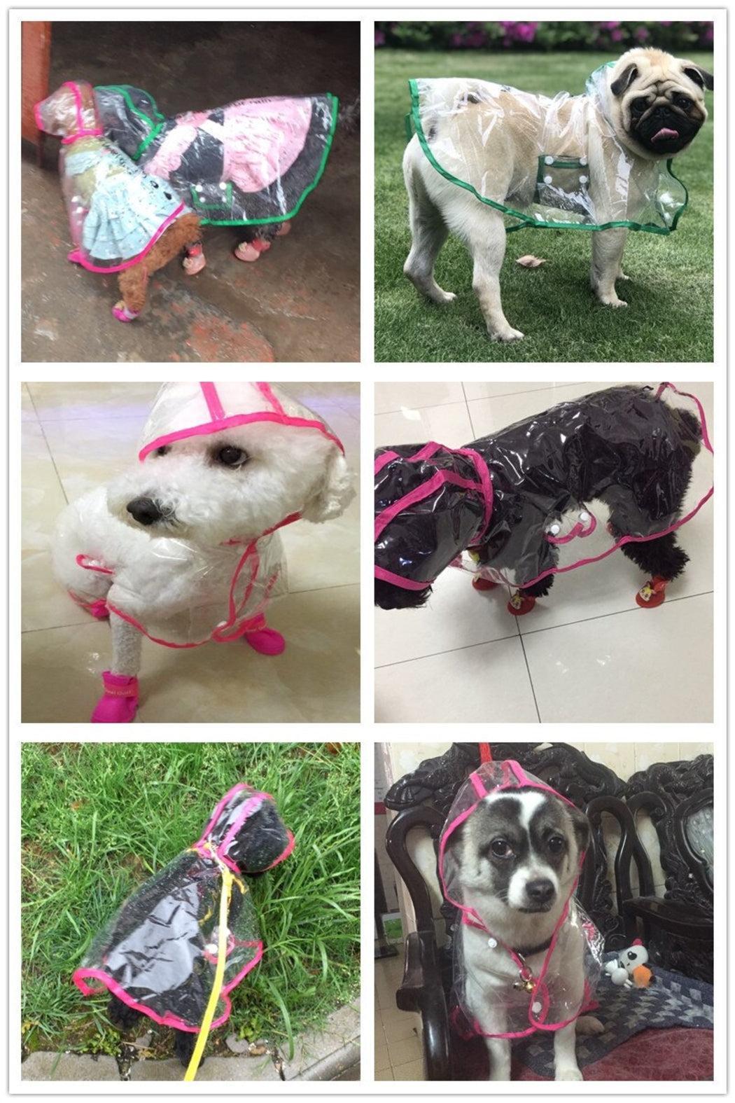 Doggy Raincoat - Various Colors Product Image