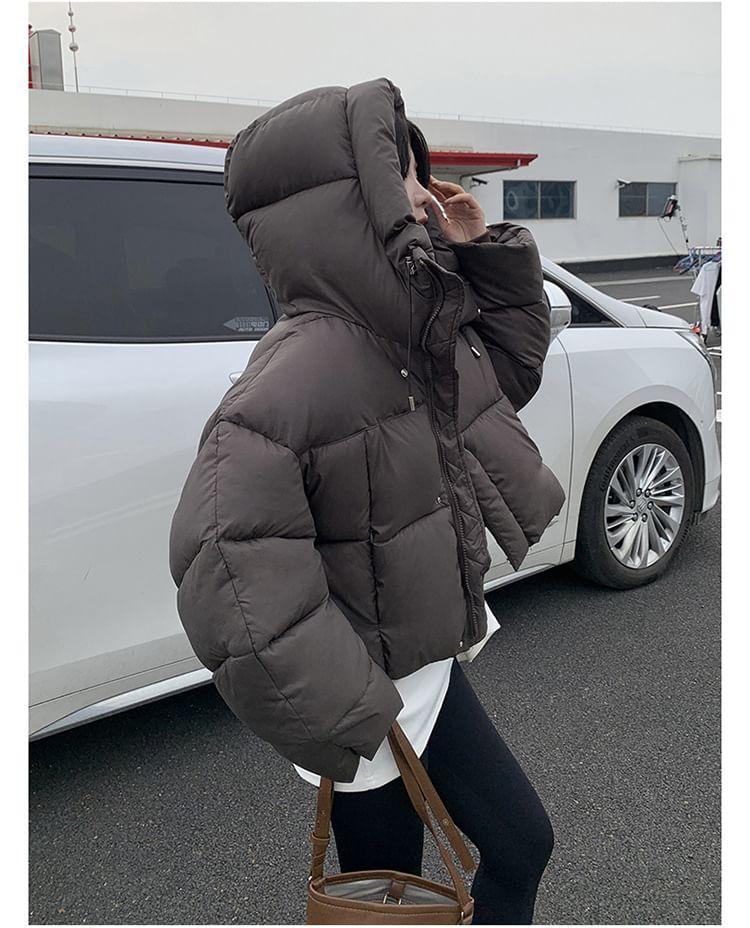 Plain Hooded Zip-Up Crop Puffer Jacket Product Image