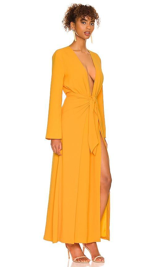 Millie Maxi Dress Camila Coelho Product Image