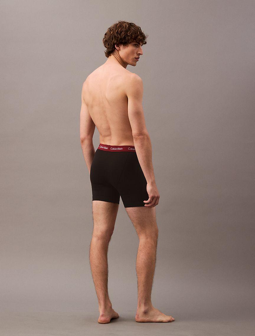 Cotton Classic 5-Pack Boxer Brief Product Image