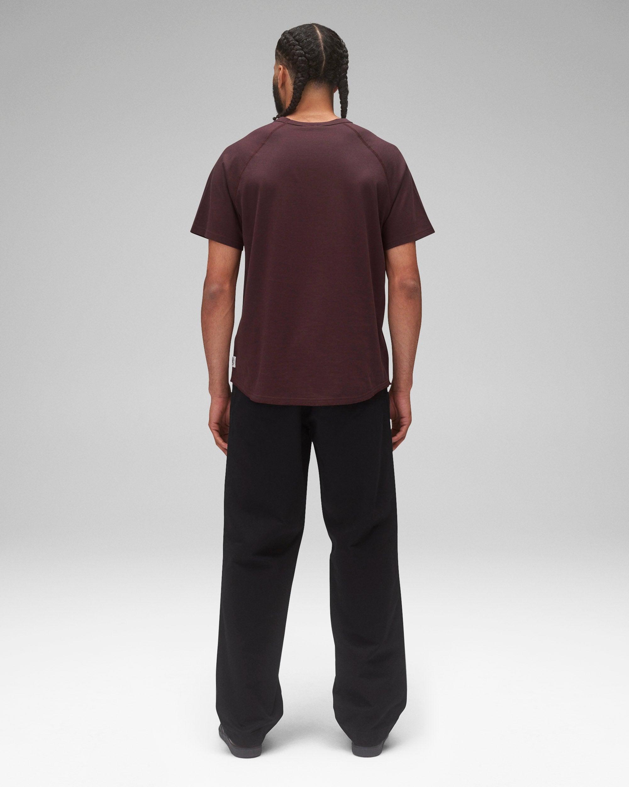 Lightweight Jersey Raglan T-Shirt - Vault Male Product Image