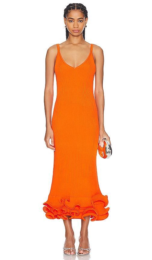 Dray Midi Dress AMUR Product Image