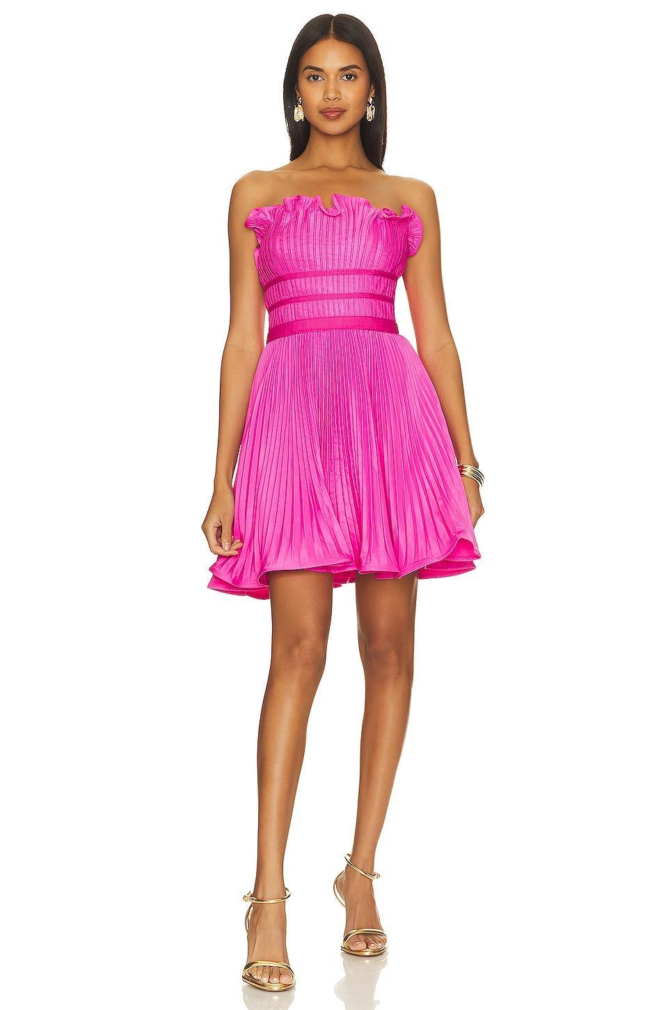 Lorena Strapless Mini Dress AMUR Product Image
