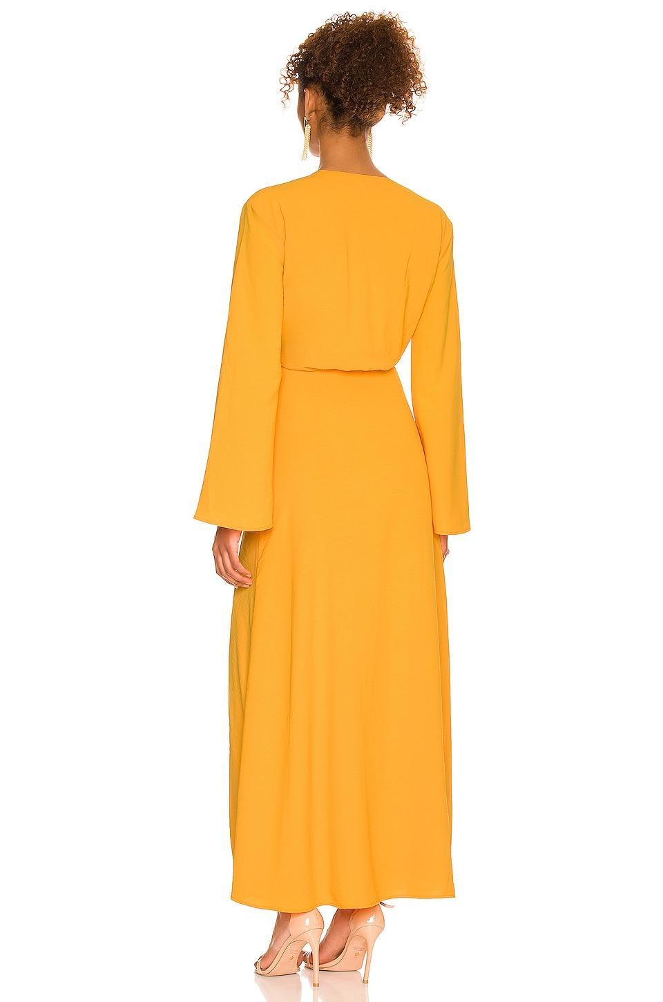 Millie Maxi Dress Camila Coelho Product Image